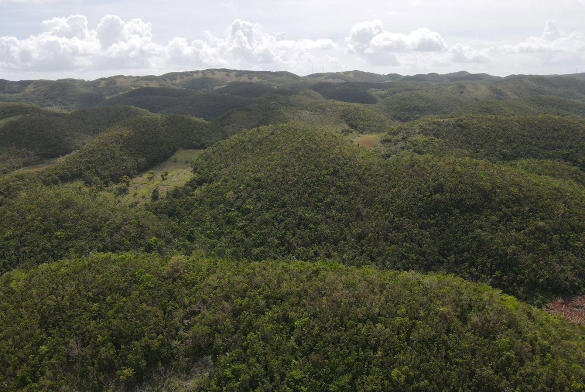 Fifth image of Donnington in Mandeville, Manchester, Jamaica - property is For Sale