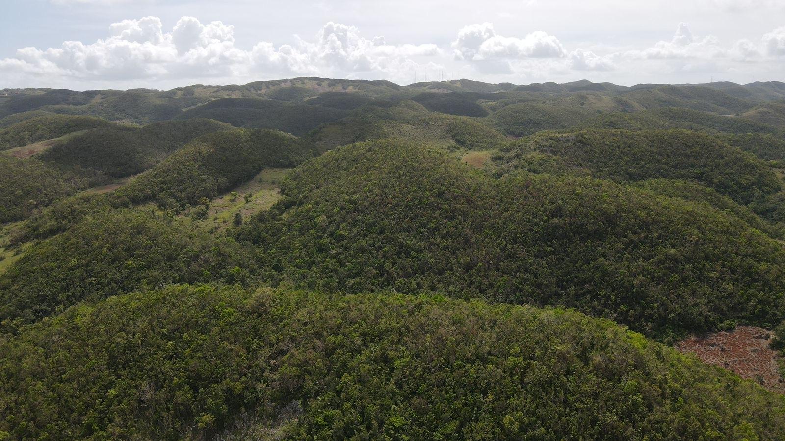 Fifth image of Donnington in Mandeville, Manchester, Jamaica - property is For Sale