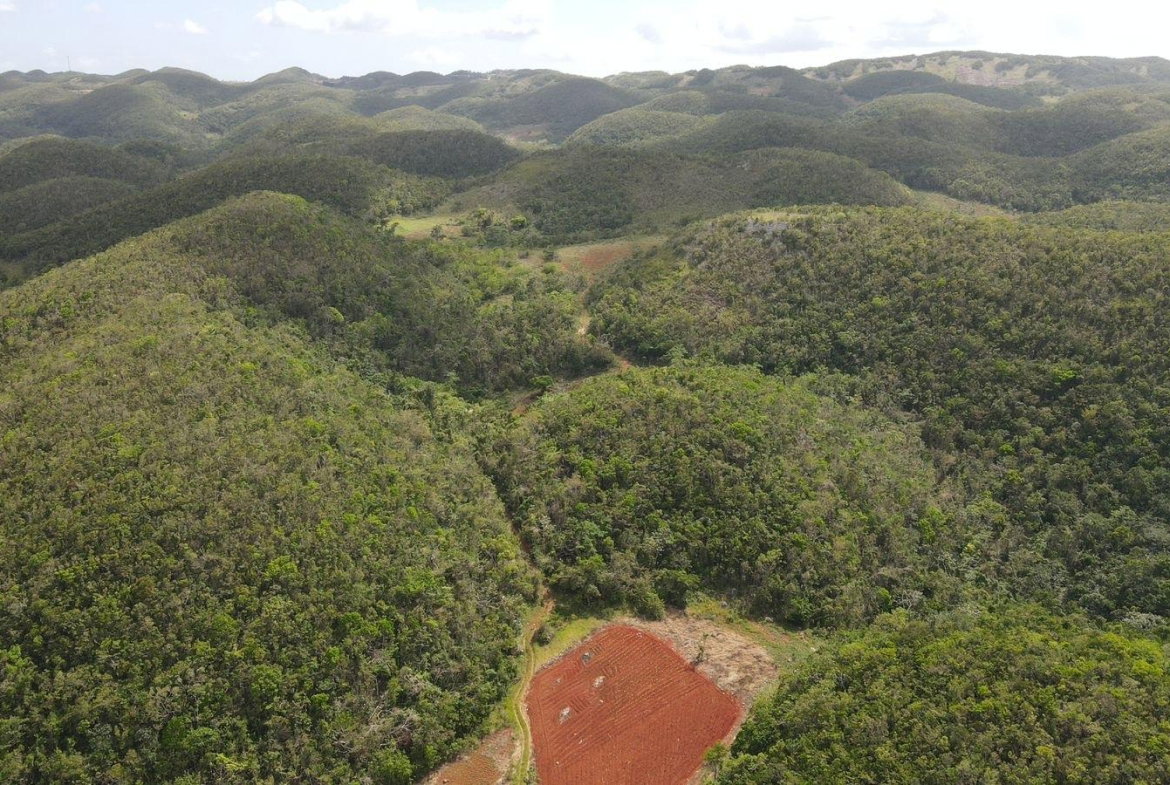 Sixth image of Donnington in Mandeville, Manchester, Jamaica - property is For Sale