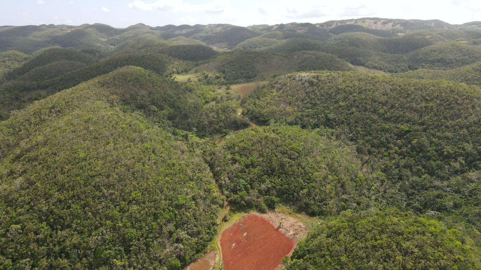 Sixth image of Donnington in Mandeville, Manchester, Jamaica - property is For Sale