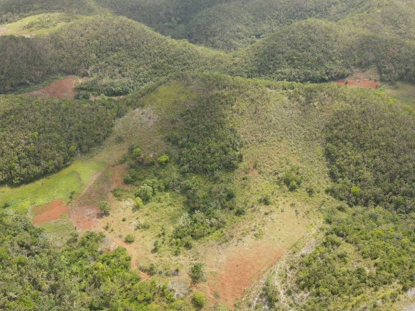 First image of Donnington in Mandeville, Manchester, Jamaica - property is For Sale