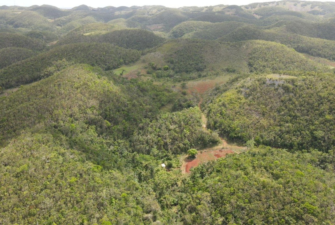 Seventh image of Donnington in Mandeville, Manchester, Jamaica - property is For Sale