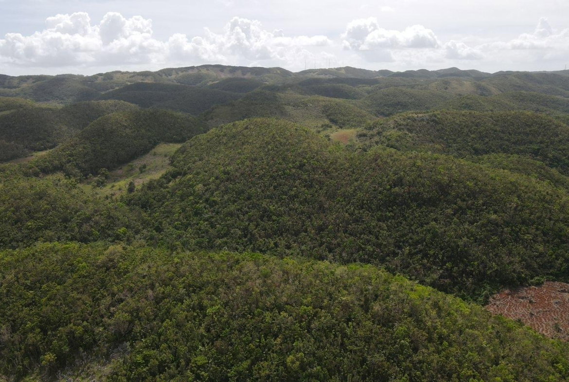 Eighth image of Donnington in Mandeville, Manchester, Jamaica - property is For Sale