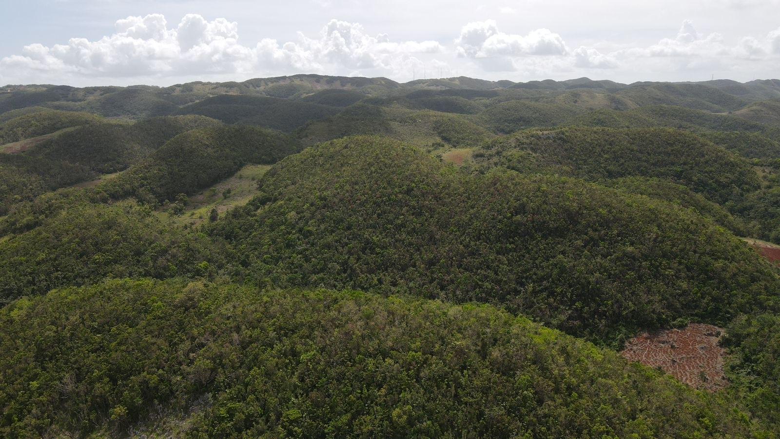 Eighth image of Donnington in Mandeville, Manchester, Jamaica - property is For Sale