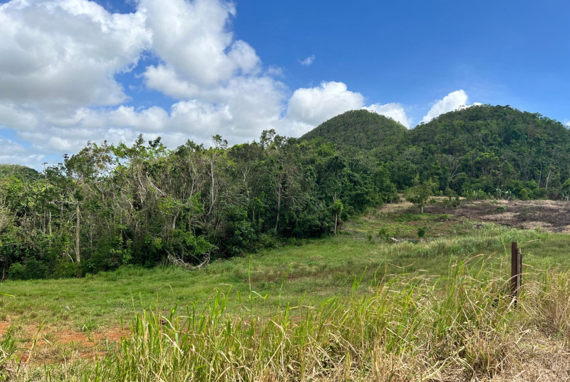 Tenth image of Donnington in Mandeville, Manchester, Jamaica - property is For Sale