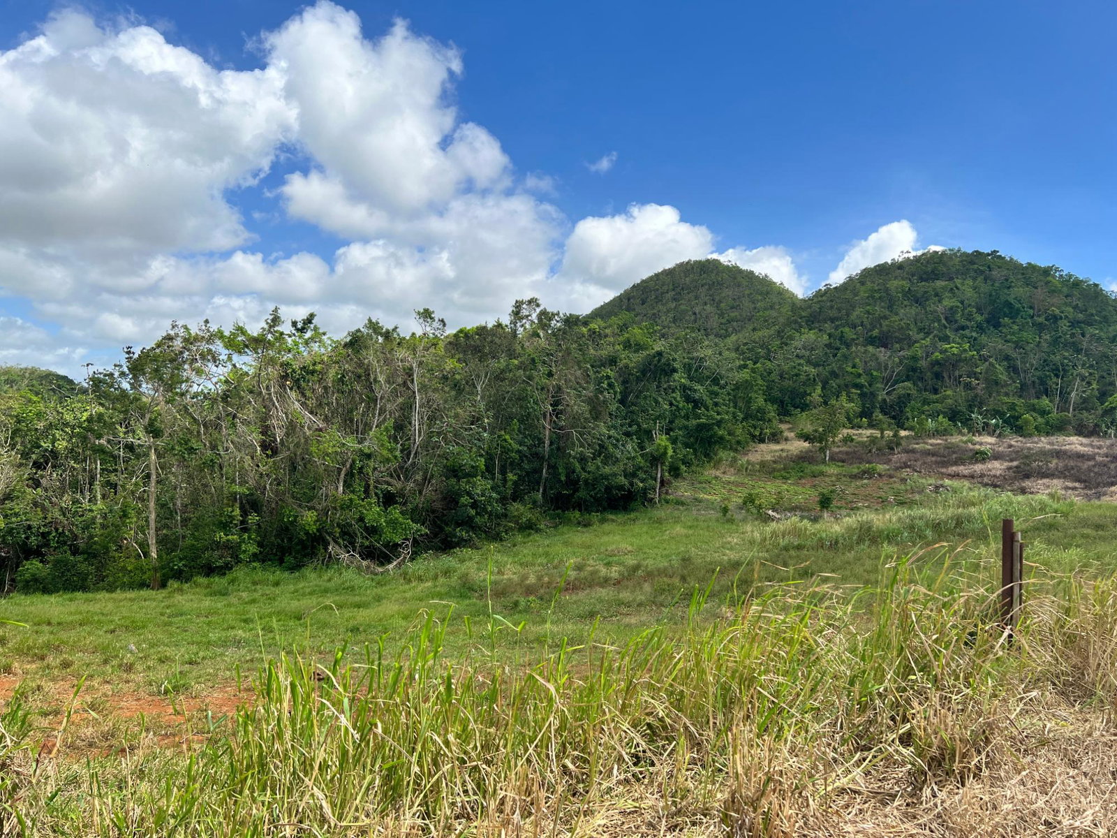 Tenth image of Donnington in Mandeville, Manchester, Jamaica - property is For Sale