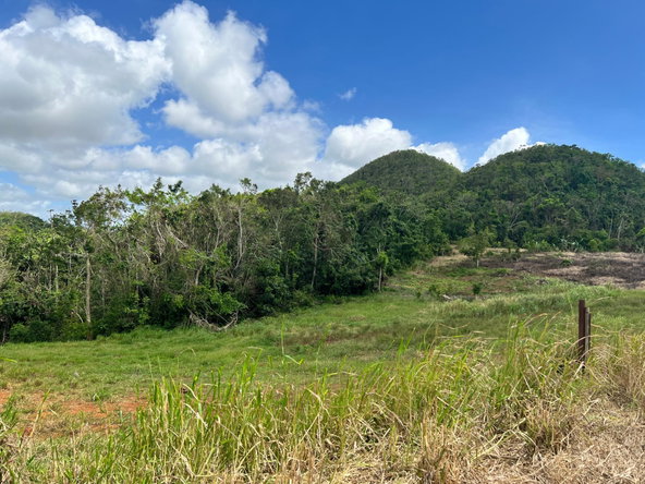 Tenth image of Donnington in Mandeville, Manchester, Jamaica - property is For Sale