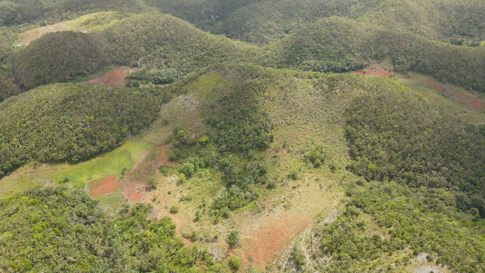 First image of Donnington in Mandeville, Manchester, Jamaica - property is For Sale