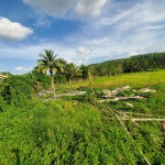 First image of 36 Biddeford, Jackson Town in Biddeford, Trelawny, Jamaica - property is For Sale