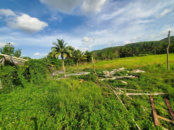 First image of 36 Biddeford, Jackson Town in Biddeford, Trelawny, Jamaica - property is For Sale