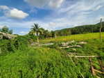 First image of 36 Biddeford, Jackson Town in Biddeford, Trelawny, Jamaica - property is For Sale