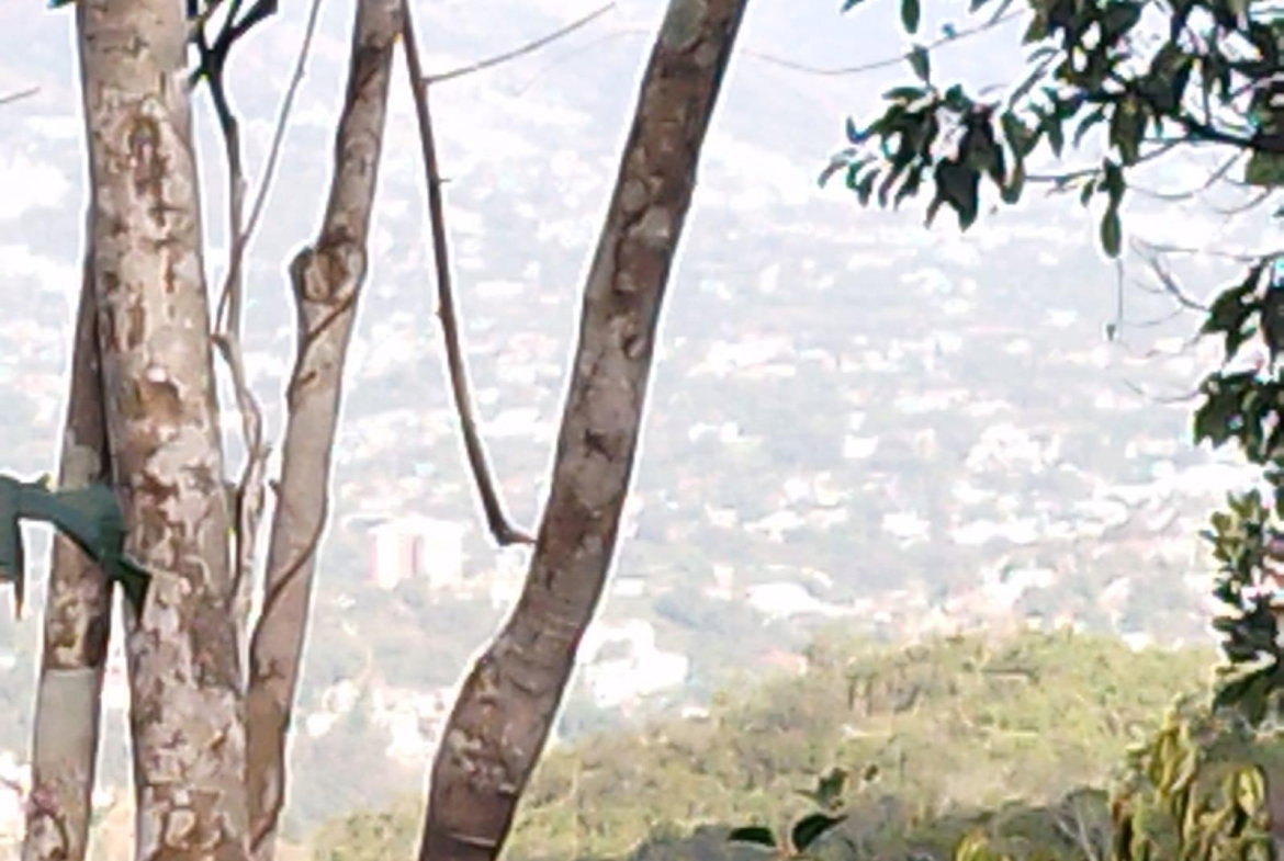 Second image of 15 Maverly Mountain, Red Hil in Red Hills, St. Andrew, Jamaica - property is For Sale