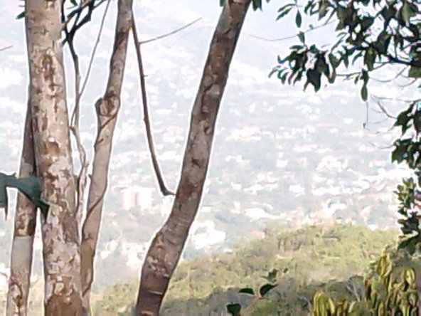 Second image of 15 Maverly Mountain, Red Hil in Red Hills, St. Andrew, Jamaica - property is For Sale