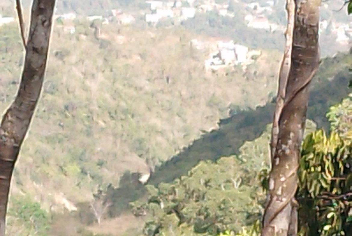 Third image of 15 Maverly Mountain, Red Hil in Red Hills, St. Andrew, Jamaica - property is For Sale