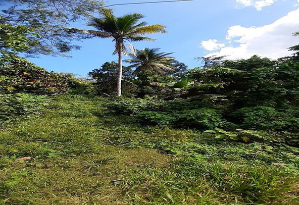 Sixth image of Elysium Paradise in Hope Bay, Portland, Jamaica - property is For Sale