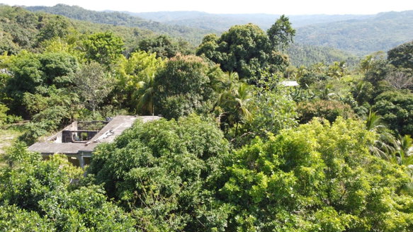 First image of Dressikie in Lambkin Hill, St. Mary, Jamaica - property is For Sale