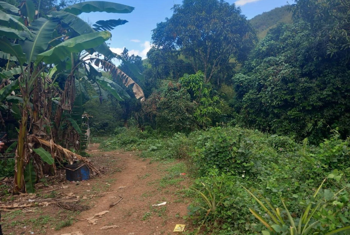 Second image of Temple Hall in Temple Hall, St. Andrew, Jamaica - property is For Sale