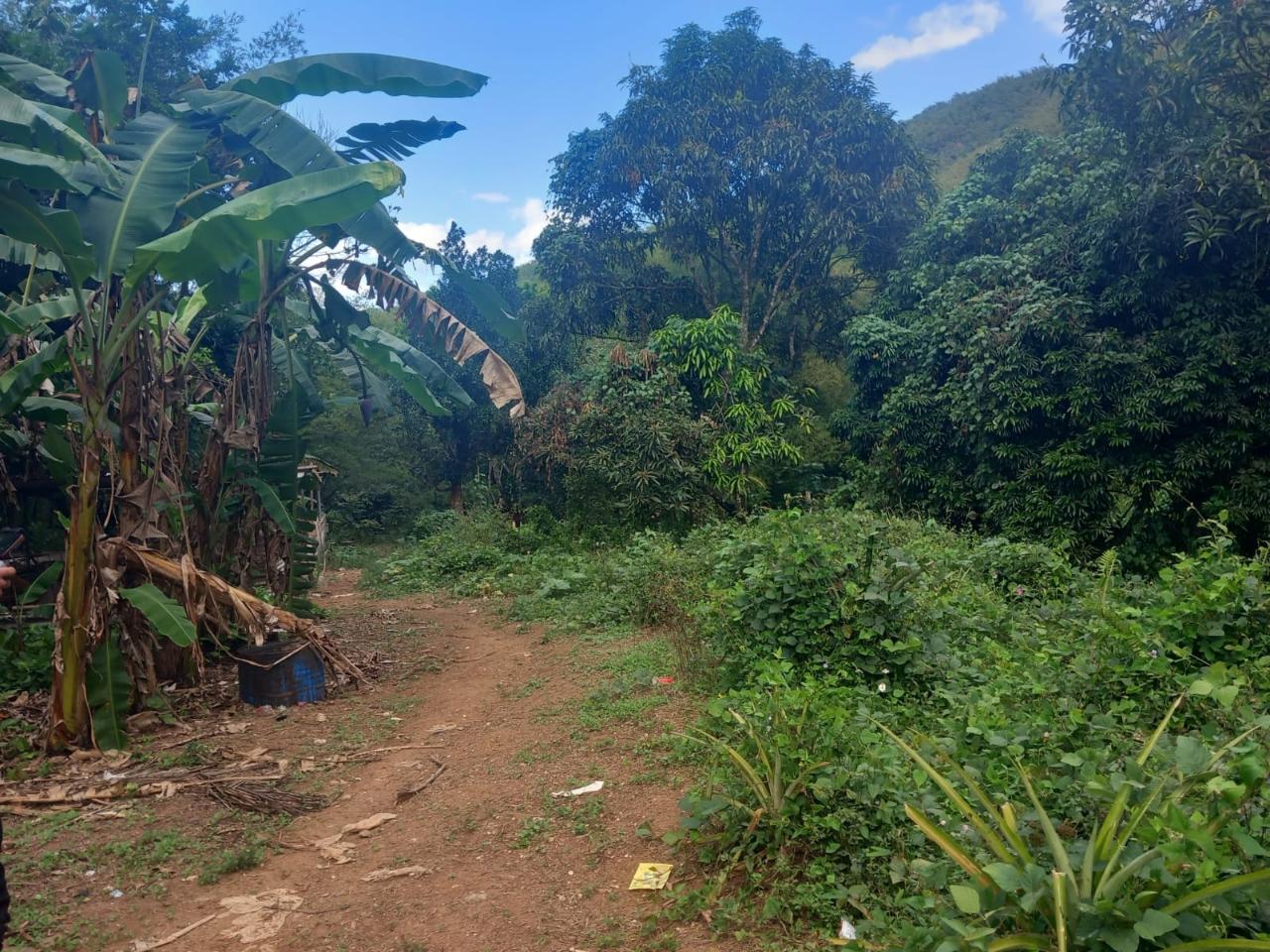 Second image of Temple Hall in Temple Hall, St. Andrew, Jamaica - property is For Sale