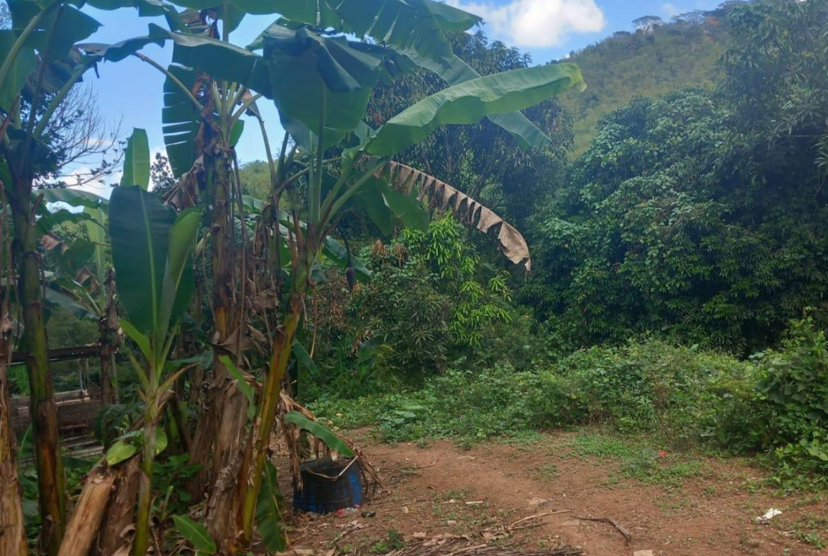 First image of Temple Hall in Temple Hall, St. Andrew, Jamaica - property is For Sale