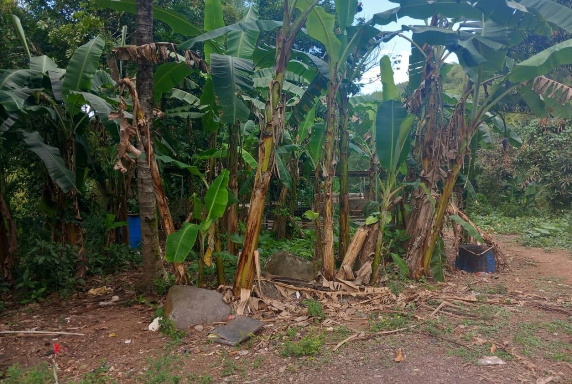Third image of Temple Hall in Temple Hall, St. Andrew, Jamaica - property is For Sale