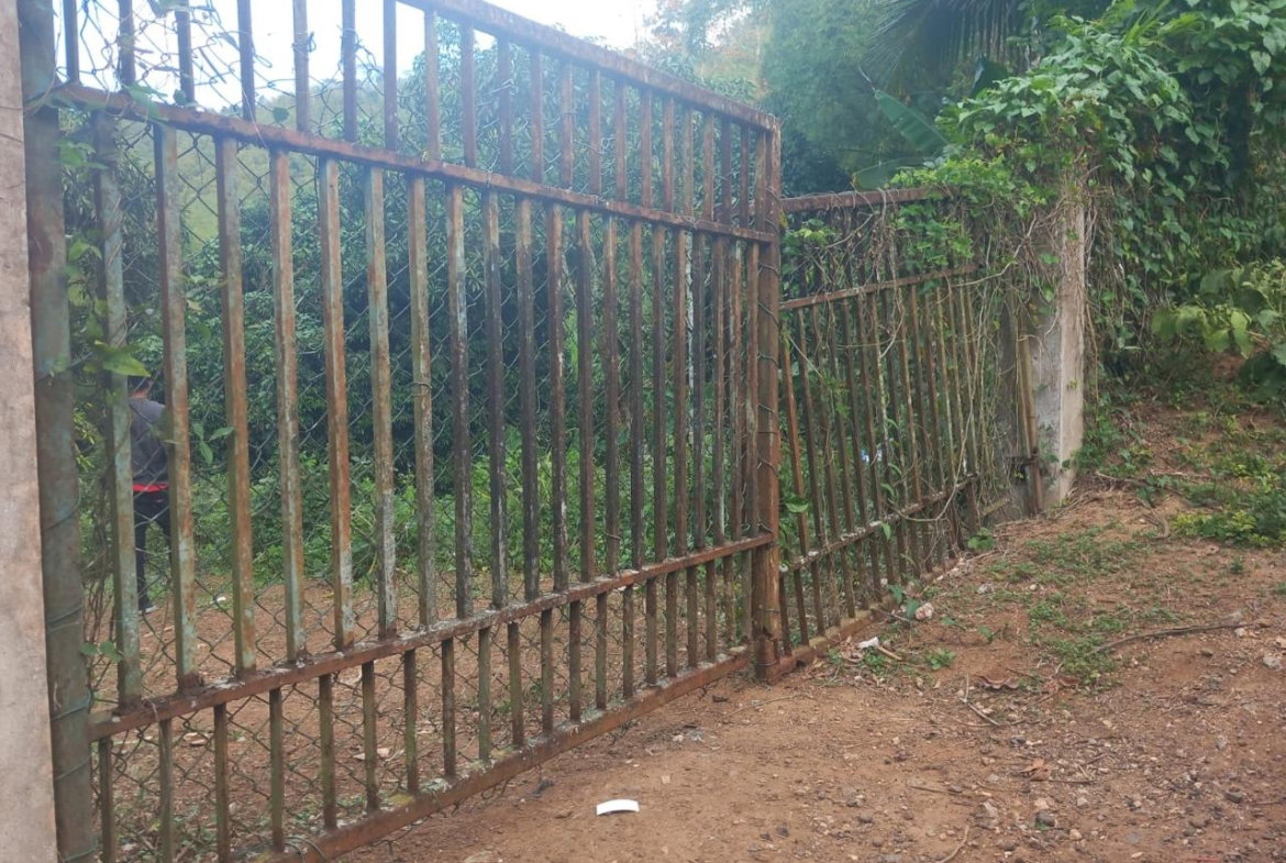 Fourth image of Temple Hall in Temple Hall, St. Andrew, Jamaica - property is For Sale