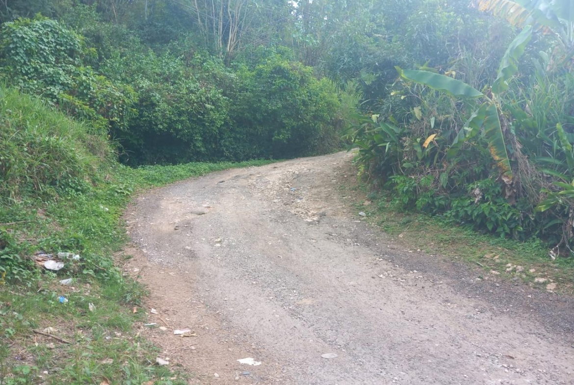 Fifth image of Temple Hall in Temple Hall, St. Andrew, Jamaica - property is For Sale