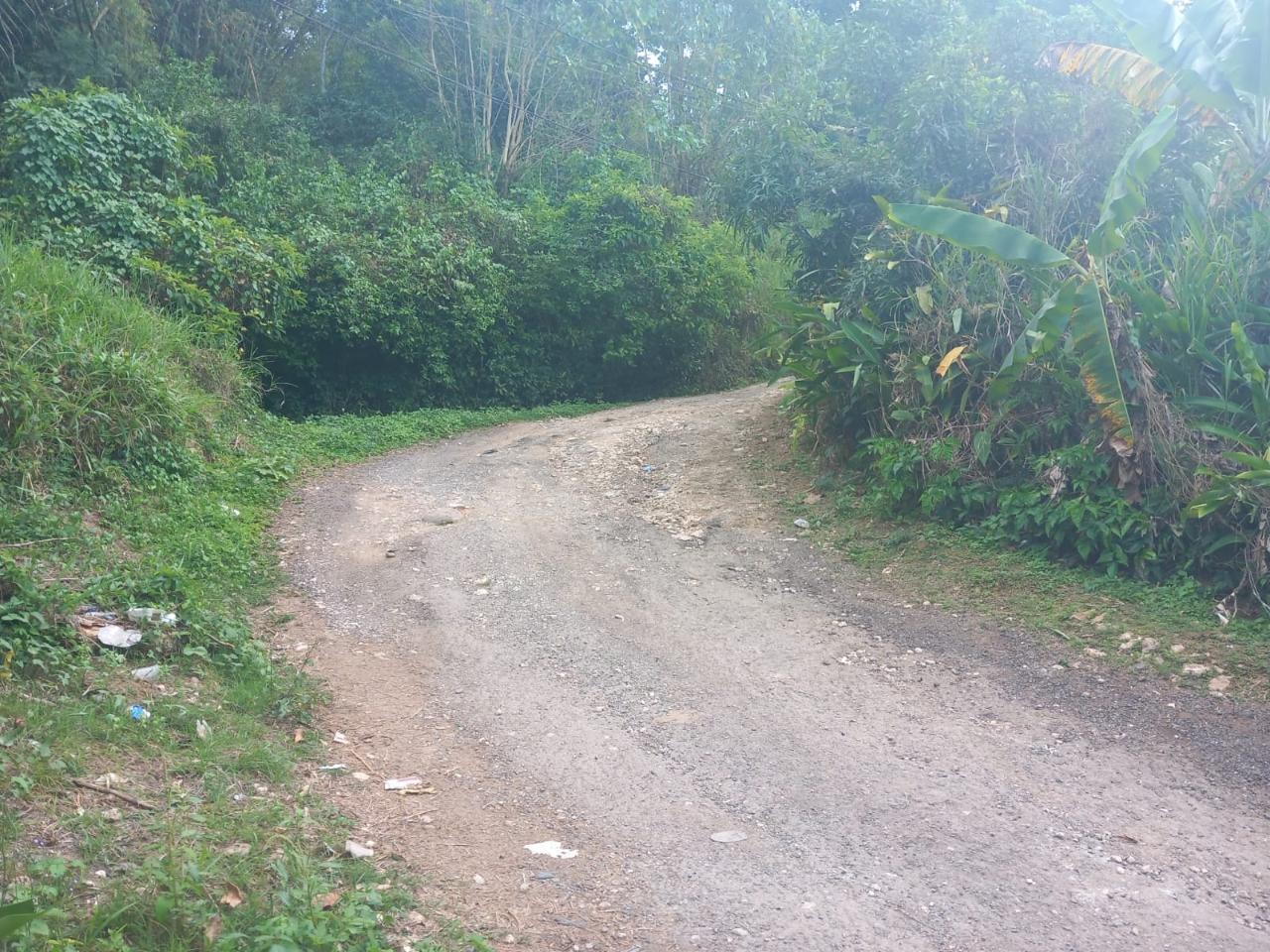Fifth image of Temple Hall in Temple Hall, St. Andrew, Jamaica - property is For Sale