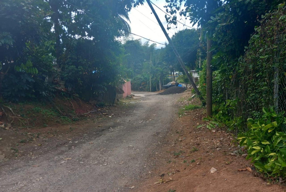 Sixth image of Temple Hall in Temple Hall, St. Andrew, Jamaica - property is For Sale