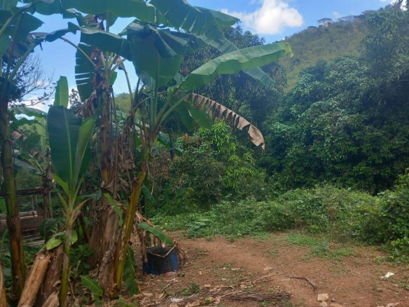 First image of Temple Hall in Temple Hall, St. Andrew, Jamaica - property is For Sale