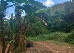 First image of Temple Hall in Temple Hall, St. Andrew, Jamaica - property is For Sale