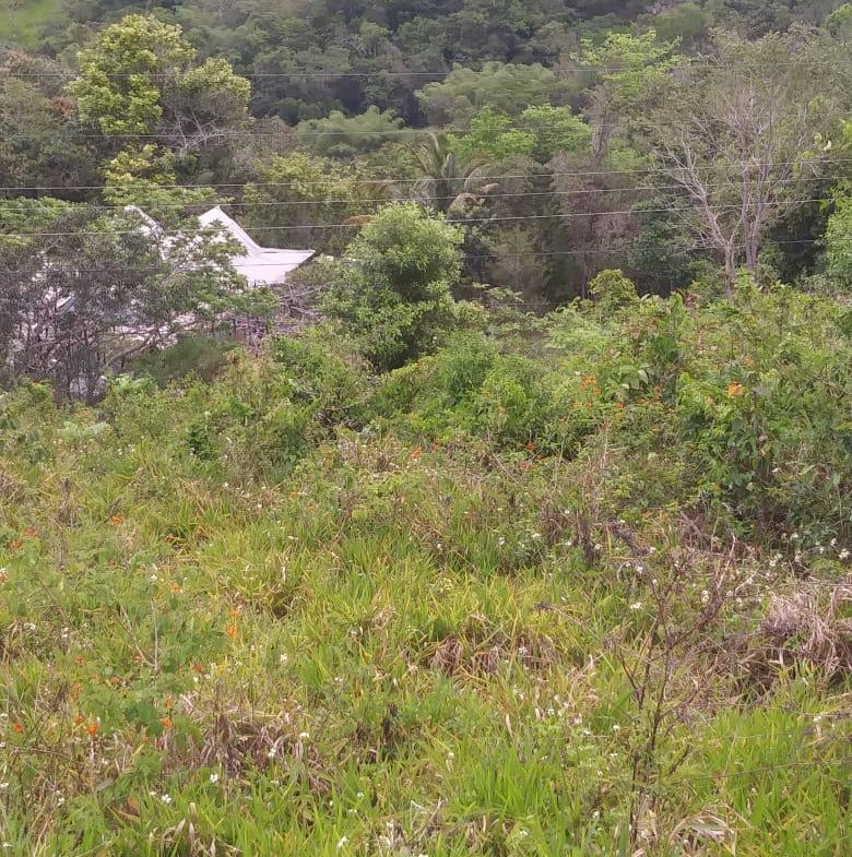 Second image of Williamsfield Main Road in Mandeville, Manchester, Jamaica - property is For Sale