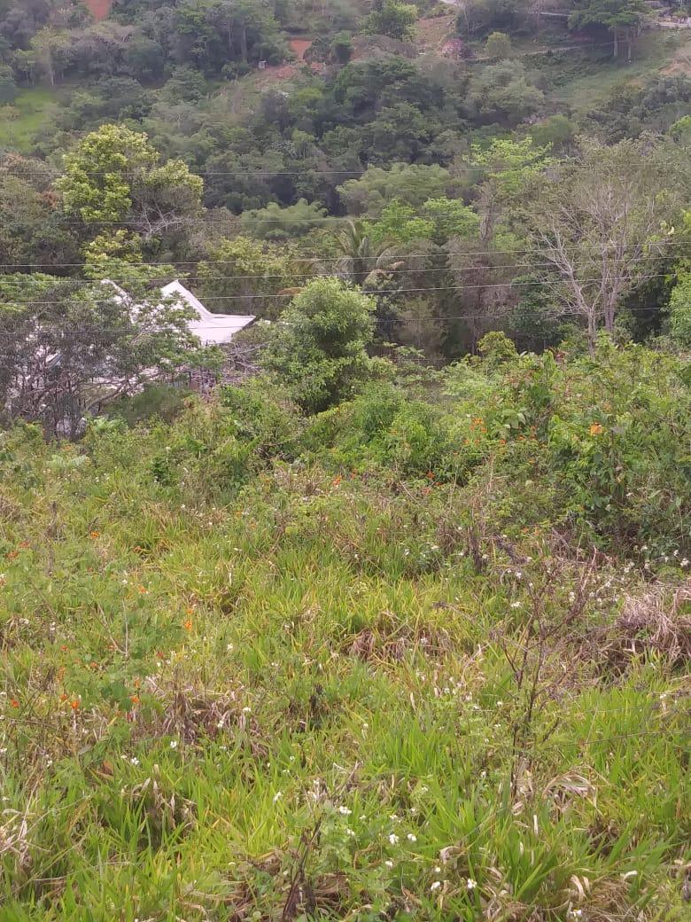 Prime-Residential-Development-Land-for-Sale-in-Williamsfield-Manchester Second image of Williamsfield Main Road in Mandeville, Manchester, Jamaica - property is For Sale