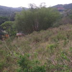 First image of Williamsfield Main Road in Mandeville, Manchester, Jamaica - property is For Sale