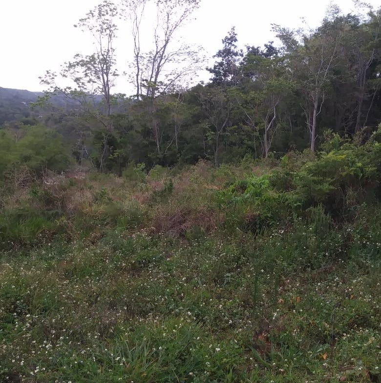 Third image of Williamsfield Main Road in Mandeville, Manchester, Jamaica - property is For Sale