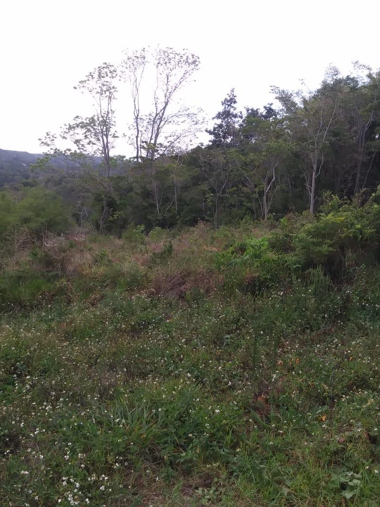Prime-Residential-Development-Land-for-Sale-in-Williamsfield-Manchester Third image of Williamsfield Main Road in Mandeville, Manchester, Jamaica - property is For Sale