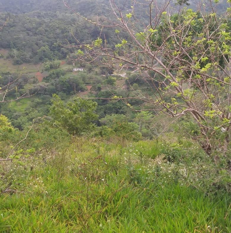 Fifth image of Williamsfield Main Road in Mandeville, Manchester, Jamaica - property is For Sale