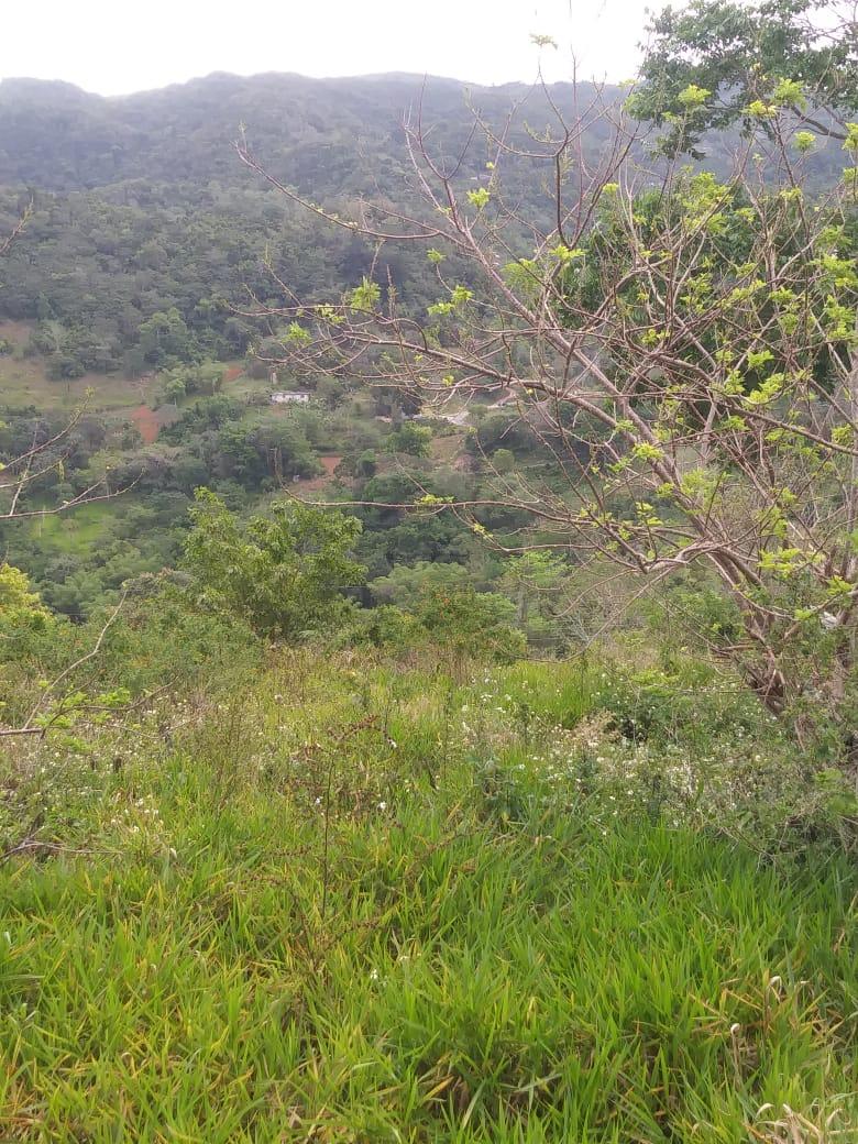 Prime-Residential-Development-Land-for-Sale-in-Williamsfield-Manchester Fifth image of Williamsfield Main Road in Mandeville, Manchester, Jamaica - property is For Sale