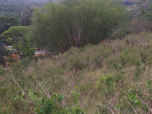 First image of Williamsfield Main Road in Mandeville, Manchester, Jamaica - property is For Sale