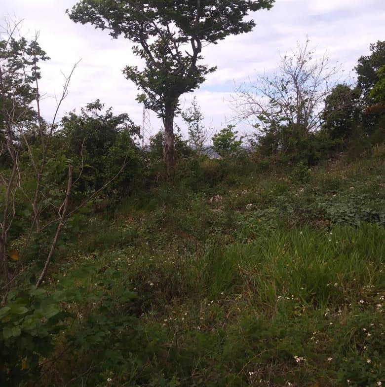 Seventh image of Williamsfield Main Road in Mandeville, Manchester, Jamaica - property is For Sale