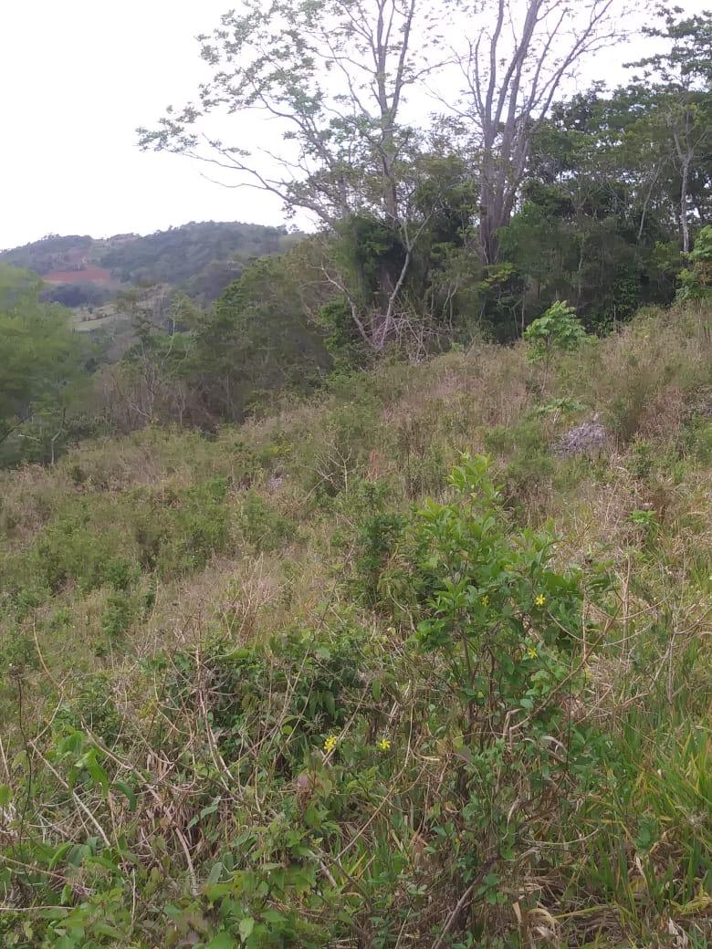 Prime-Residential-Development-Land-for-Sale-in-Williamsfield-Manchester Eighth image of Williamsfield Main Road in Mandeville, Manchester, Jamaica - property is For Sale