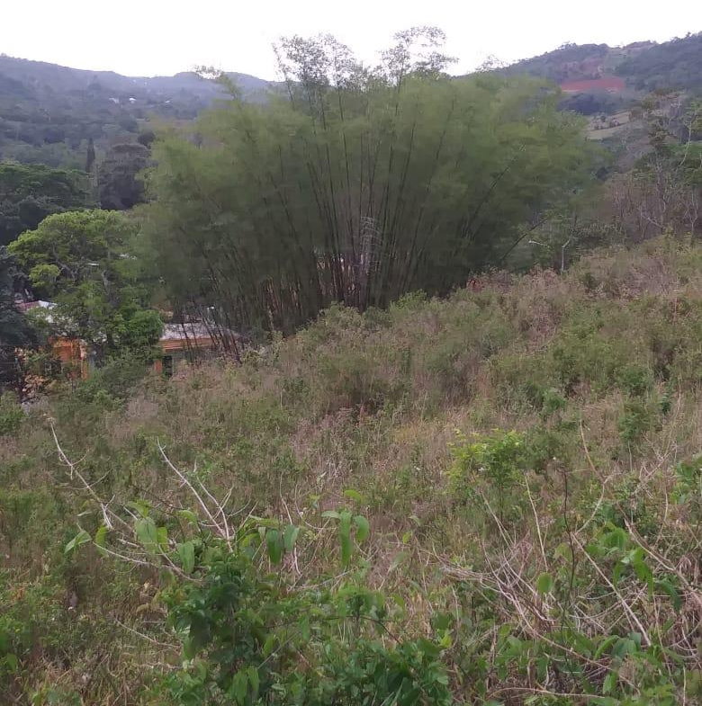 First image of Williamsfield Main Road in Mandeville, Manchester, Jamaica - property is For Sale