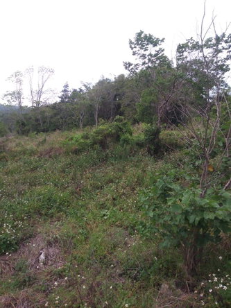Ninth image of Williamsfield Main Road in Mandeville, Manchester, Jamaica - property is For Sale