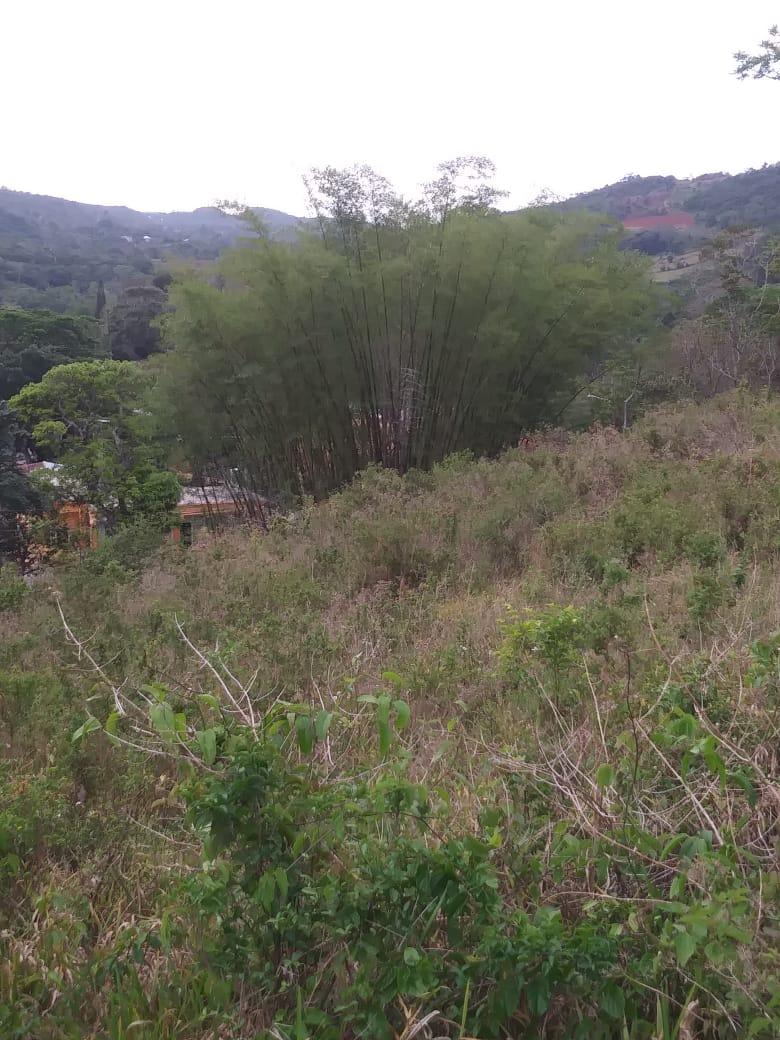 Prime-Residential-Development-Land-for-Sale-in-Williamsfield-Manchester First image of Williamsfield Main Road in Mandeville, Manchester, Jamaica - property is For Sale
