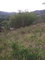 First image of Williamsfield Main Road in Mandeville, Manchester, Jamaica - property is For Sale