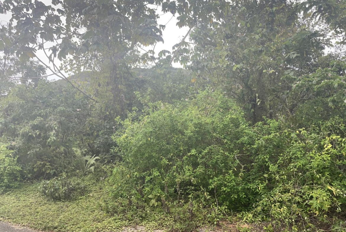 First image of 59 Heffs Crescent in Belvedere, St. Andrew, Jamaica - property is For Sale