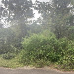 First image of 59 Heffs Crescent in Belvedere, St. Andrew, Jamaica - property is For Sale