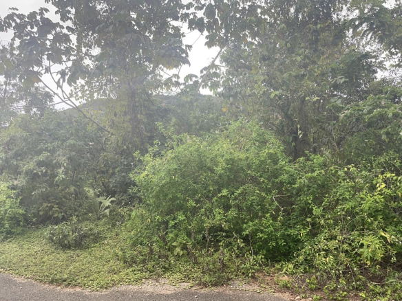 First image of 59 Heffs Crescent in Belvedere, St. Andrew, Jamaica - property is For Sale