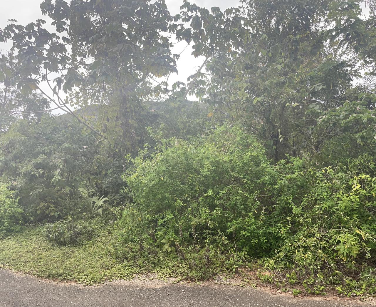 First image of 59 Heffs Crescent in Belvedere, St. Andrew, Jamaica - property is For Sale