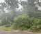 First image of 59 Heffs Crescent in Belvedere, St. Andrew, Jamaica - property is For Sale