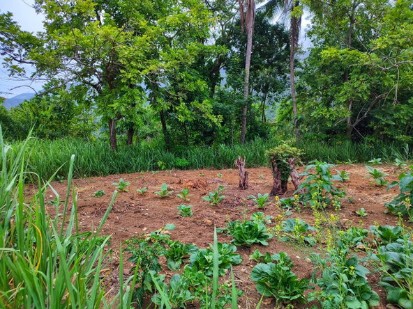 Second image of 108 Charlton Drive, Ewarton in Ewarton, St. Catherine, Jamaica - property is For Sale